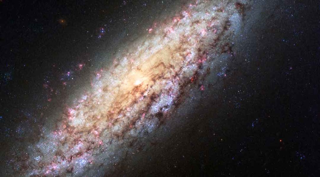 galaxie NGC 6503