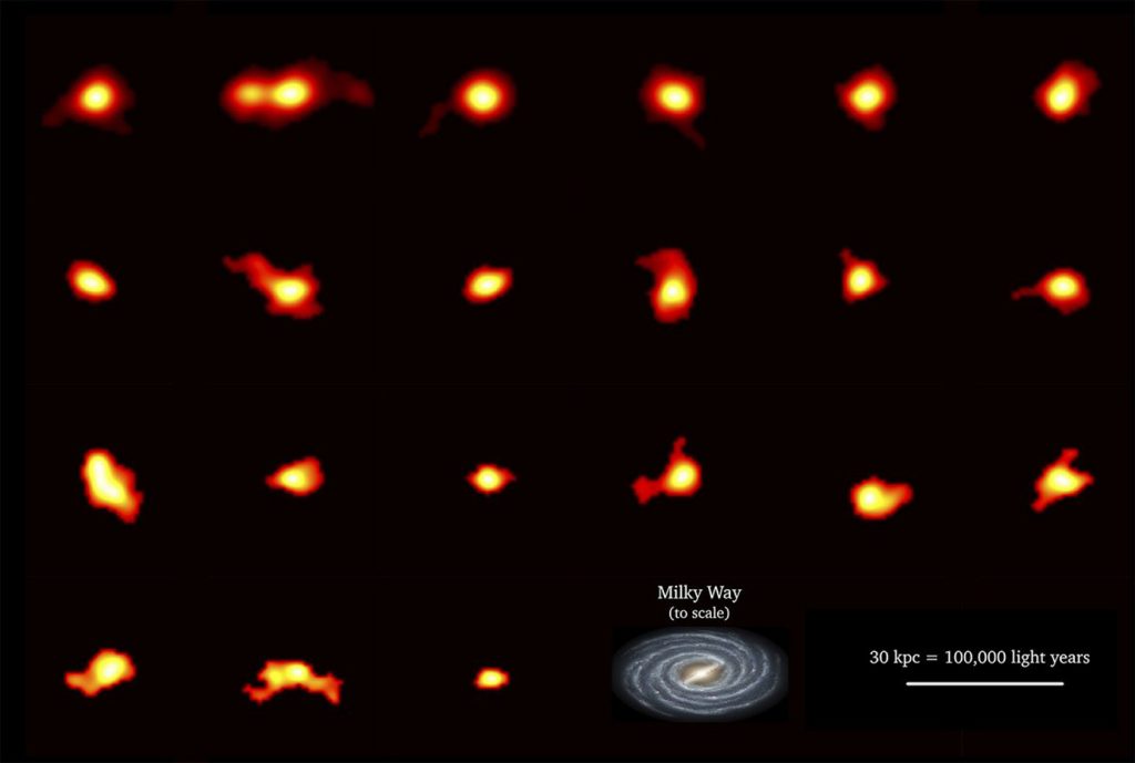 Abondance de galaxies en rotation dans l'Univers jeune