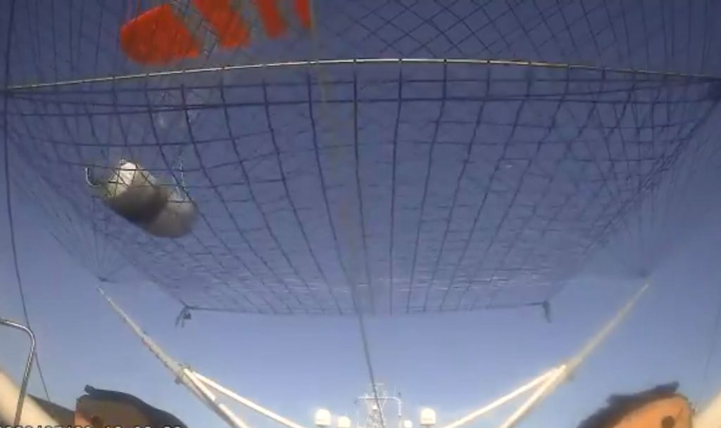 La récupération de la coiffe du Falcon 9 de SpaceX en vidéo