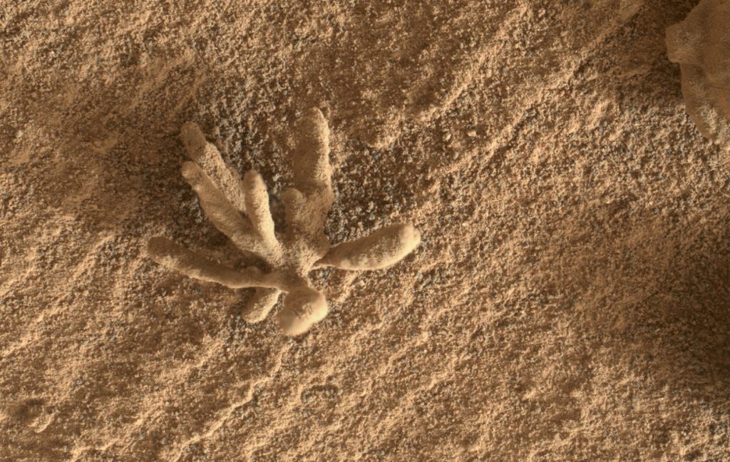 Curiosity a observé une fleur minérale sur Mars