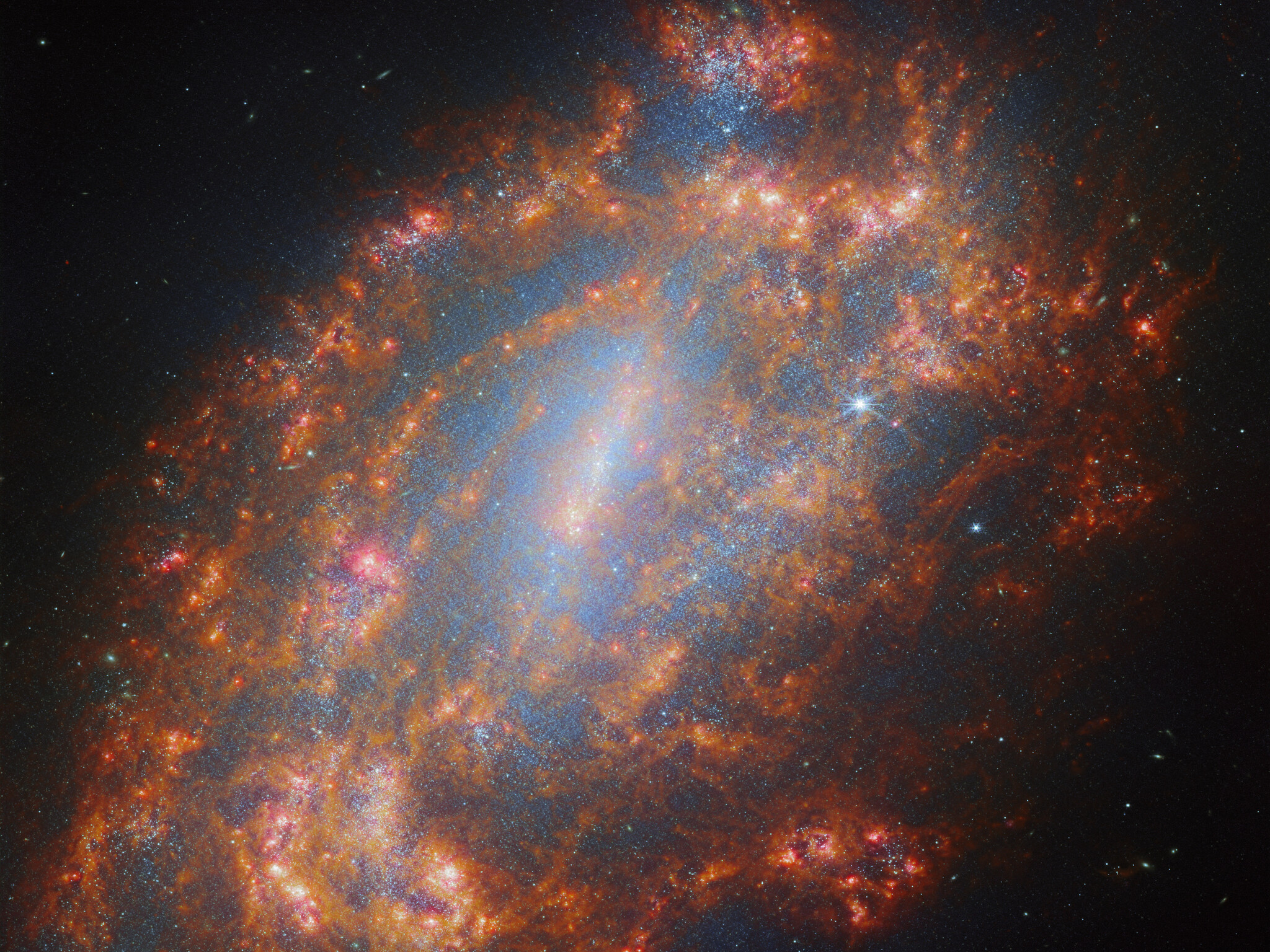 La galaxie spirale barrée NGC 1559